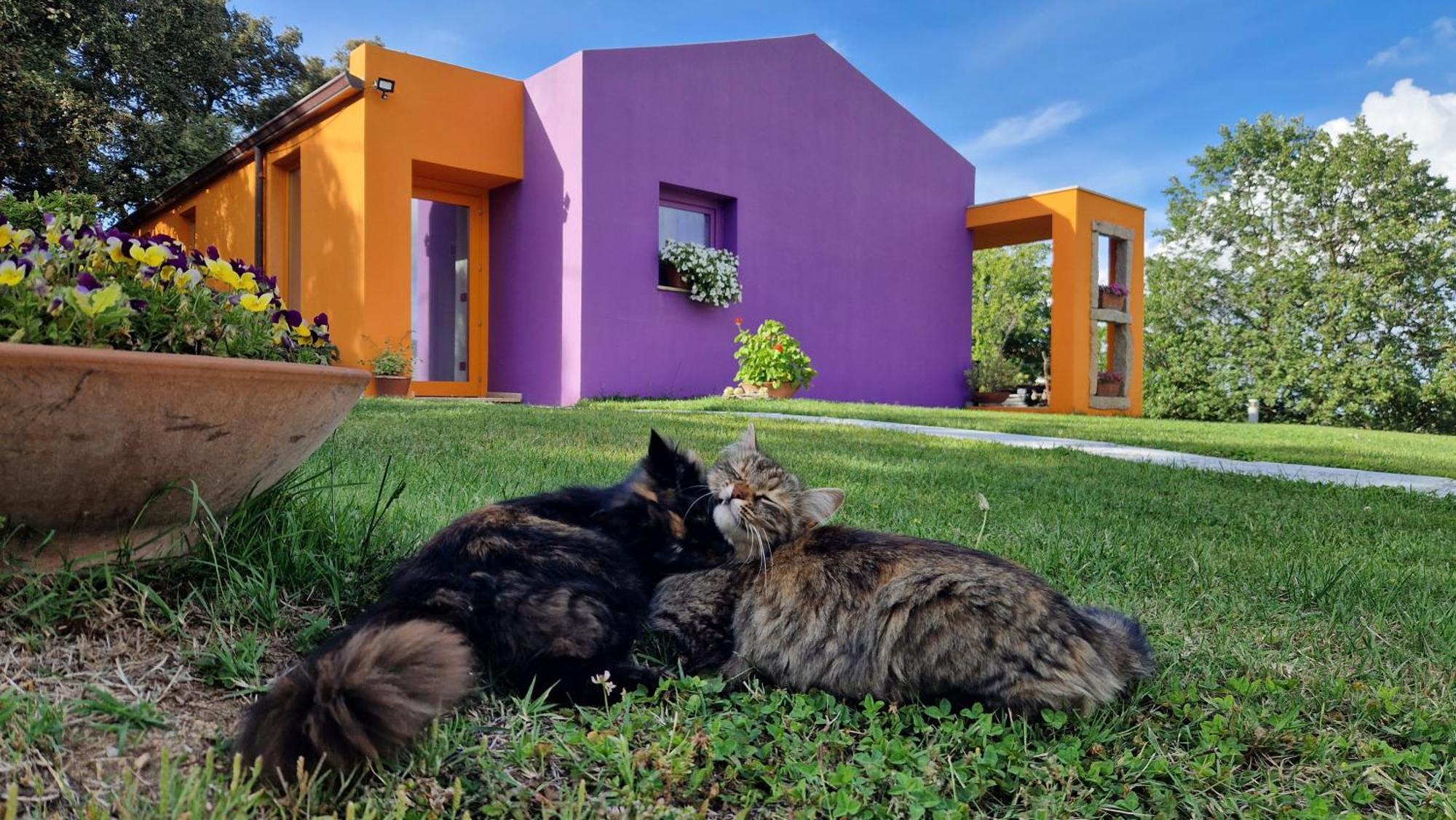 Limbara Dreaming Tempio Pausania Exterior foto