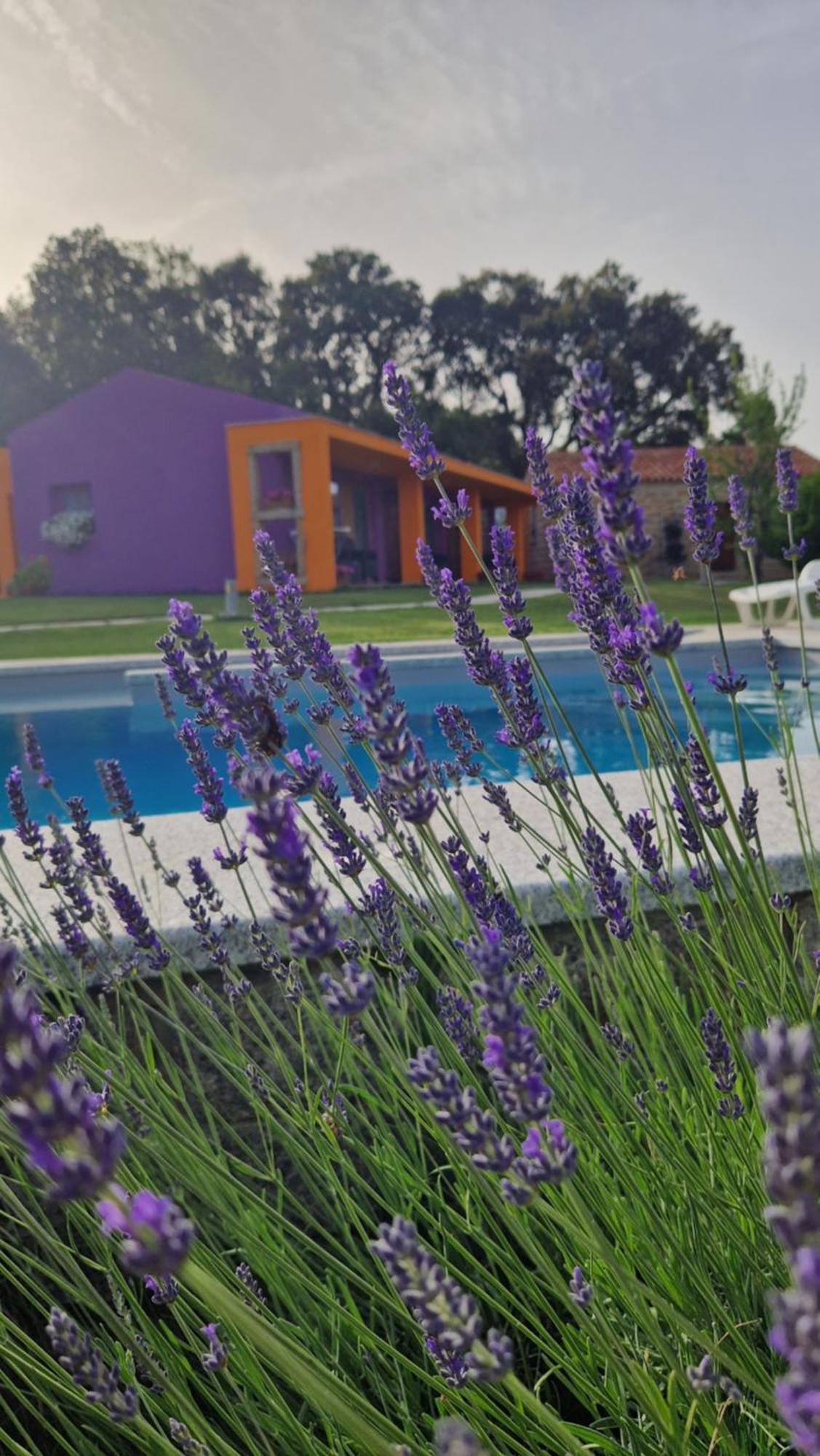 Limbara Dreaming Tempio Pausania Exterior foto